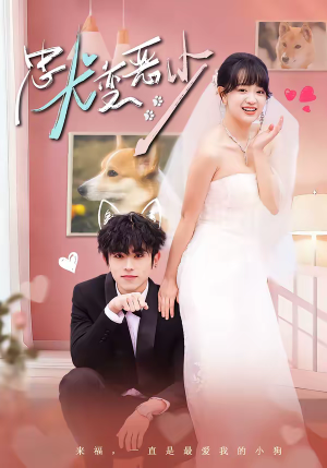 惊！我家来福变恶少了＆忠犬变恶少（80集）一口气免费看完这部短剧大结局