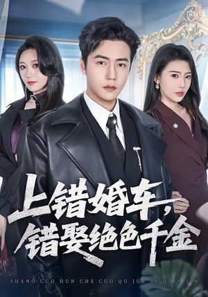 上错婚车，错娶绝色千金（80集）短剧全集免费在线看