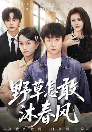 野草怎敢沐春风（61集）西瓜视频海量短剧免费看