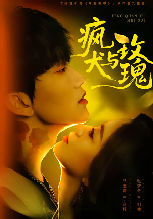 疯犬与玫瑰（80集）常回家看看短剧