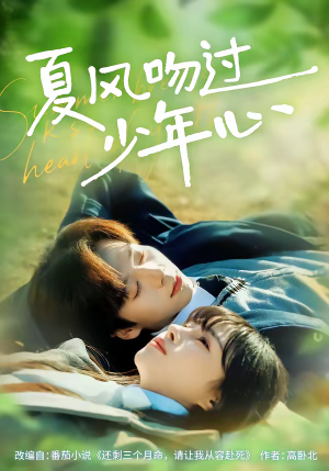 夏风吻过少年心（76集）全集短剧免费观影无压力
