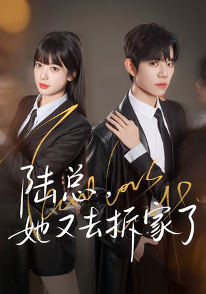 陆总，她又去拆家了（80集）每天分享不一样短剧剧情