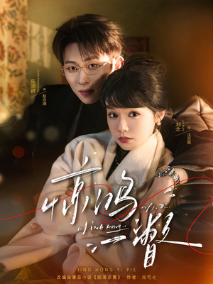 惊鸿一瞥（72集）推荐热门短剧抢先看