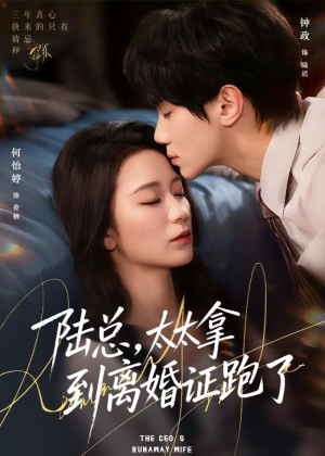陆总，太太拿到离婚证跑了（86集）短剧每日分享推荐