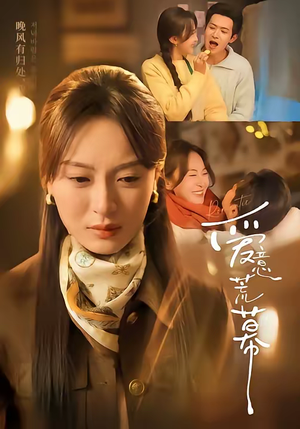 爱意荒幕（70集）短剧全集VR沉浸版