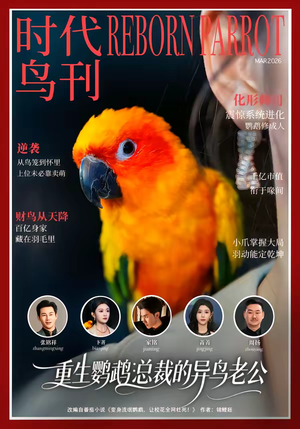 重生鹦鹉：总裁的异鸟老公（80集）短剧大结局合集放送