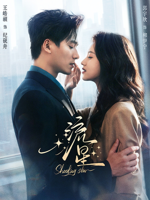 流星（77集）无需掏钱整部剧免费看短剧