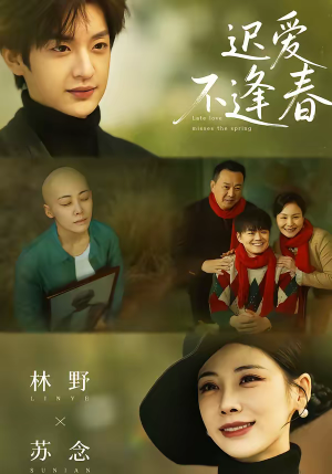 迟爱不逢春（62集）短剧小说在线看