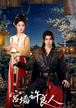 宫墙许良人（67集）热门短剧一网打尽