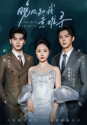 晚风知我意难寻（60集）热播短剧火爆来袭