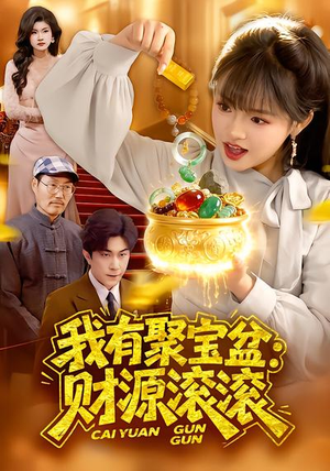 我有聚宝盆：财源滚滚（101集）免费观看全集的短剧网站精选