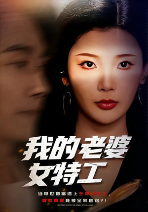 我的老婆女特工（62集）番茄小说免费看短剧