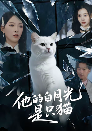 他的白月光是只猫（69集）番茄小说短剧免费看