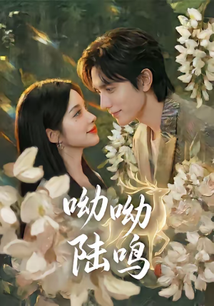 呦呦陆鸣（67集）超级好看的短剧