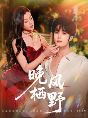 晚风栖野（80集）短剧免费看全集恋爱短剧
