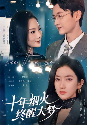 十年烟火，终醒大梦（60集）韩国短剧精彩片段