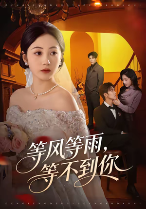 等风等雨，等不到你（65集）好看的短剧分享