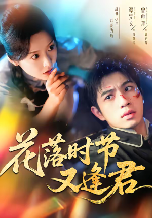 花落时节又逢君（61集）甜宠短剧追到爽