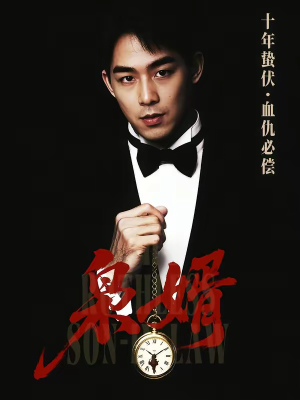 枭婿（62集）短剧流畅播放免费看