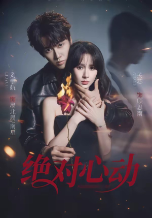 绝对心动（66集）免费在线观看短剧大结局