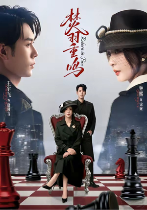 焚羽重鸣（60集）大结局一气呵成的热门短剧