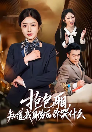 抢包厢，知道我身份后你哭什么（70集）免费观看最新短剧