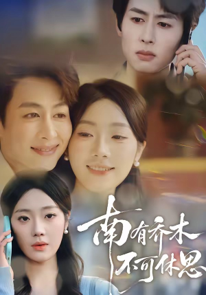 南有乔木，不可休思（68集）免费短剧尽享影视魅力