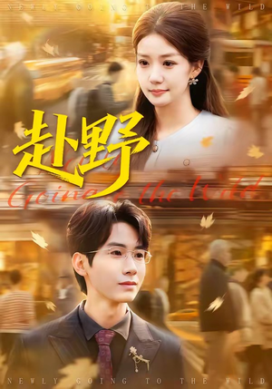 赴野（40集）最新短剧抢先看