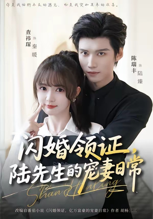 闪婚领证，陆先生的宠妻日常（86集）短剧这部剧太好看了