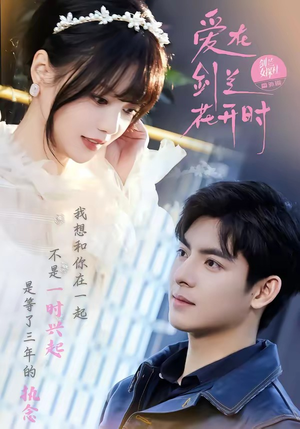爱在剑兰花开时（56集）在线观看全集的热门短剧