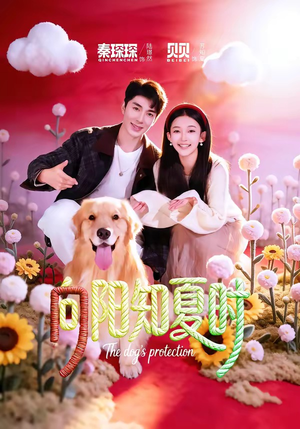 向阳知夏时（80集）每天更新最火短剧