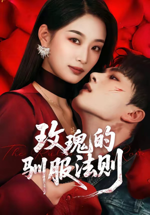 玫瑰的驯服法则（65集）在线观看全集的热门短剧