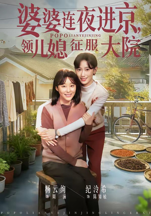 婆婆连夜进京，领儿媳征服大院（78集）热门儿短剧抢先看