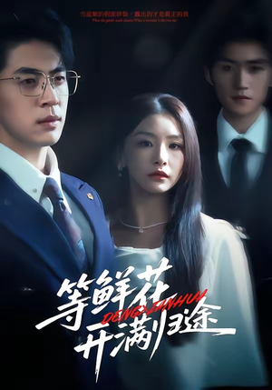 等鲜花开满归途（61集）超精彩热门短剧推荐