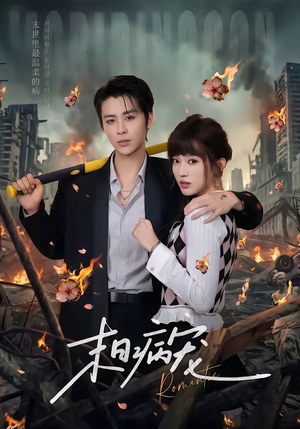 末日病宠（60集）免费观看全集短剧无删减