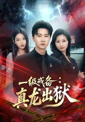 一级戒备：真龙出狱（73集）在线免费看全集短剧
