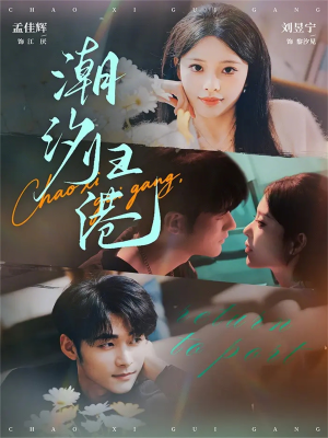 潮汐归港（66集）好看的短剧电影