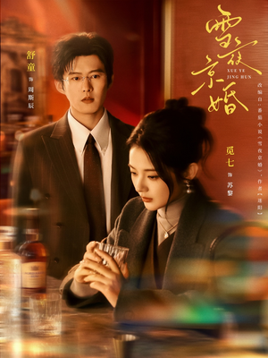 雪夜京婚（84集）终于可以免费看短剧了