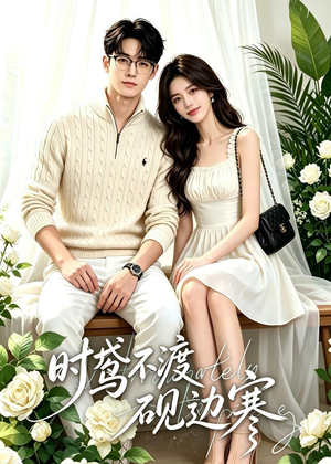 时鸢不渡砚边寒（41集）短剧大结局完整版免费看