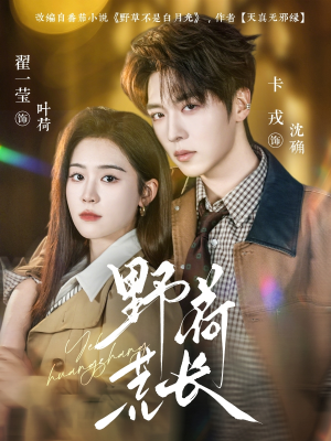 野荷荒长（86集）短剧大结局限免特辑