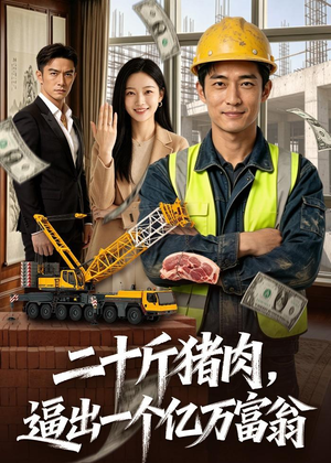 二十斤猪肉，逼出一个亿万富翁（62集）在哪个平台可以看短剧
