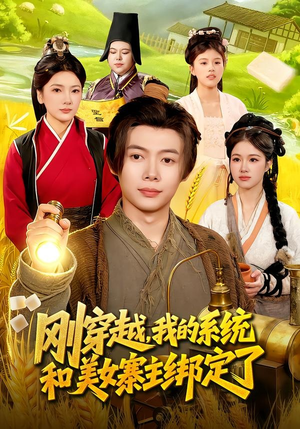 刚穿越，我的系统和美女寨主绑定了（98集）短剧限免全集任你点
