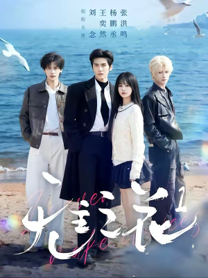 无主之花1（72集）短剧追到爽越看越好看