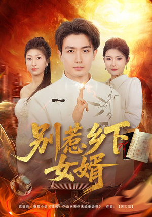别惹乡下女婿（80集）全集短剧在线观看免费