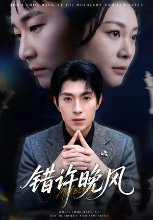 错许晚风（60集）排行榜前十的短剧