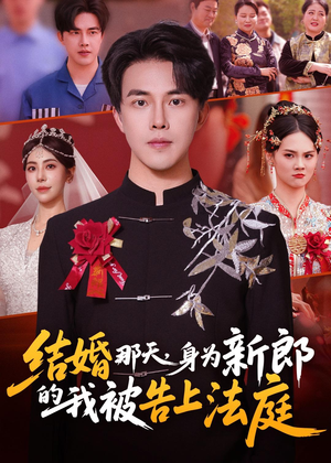 结婚那天，身为新郎的我被告上法庭（59集）百度网盘在线看短剧