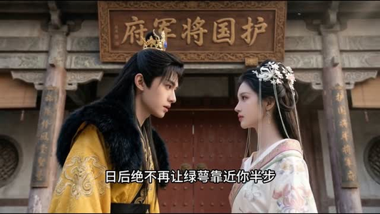 太子妃能有什么坏心思（41集）短剧在哪个平台