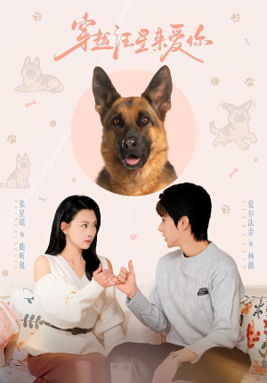 穿越汪星来爱你（62集）精彩短剧天天更新