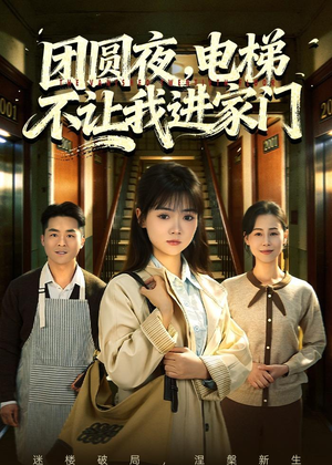 团圆夜，电梯不让我进家门（52集）在线就可以看短剧全集了