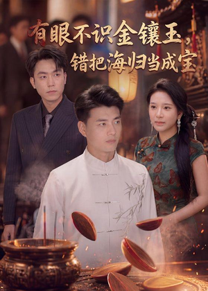 有眼不识金镶玉错把海归当成宝（80集）热播短剧免费看